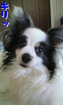 PA0_0004.JPG