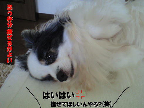 CA390779.JPG