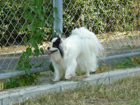 P1030064.JPG