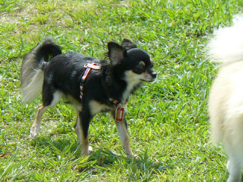 P1030165.JPG