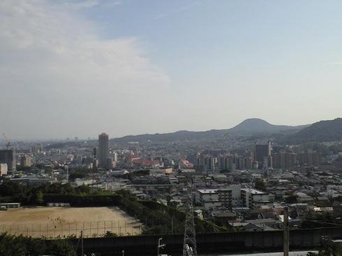 CA390853.JPG