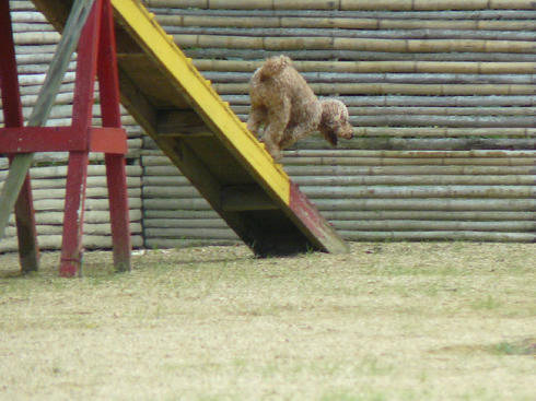 P1030342.JPG