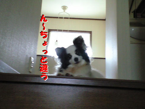 CA390879.JPG