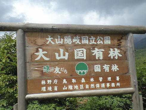 CA390904.JPG