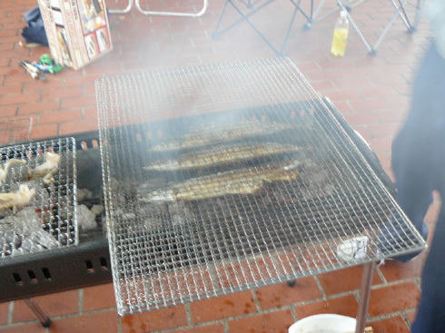 P1030643.JPG