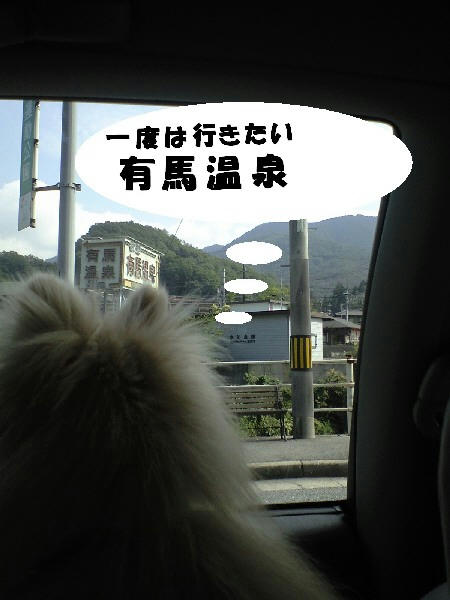 CA390881.JPG
