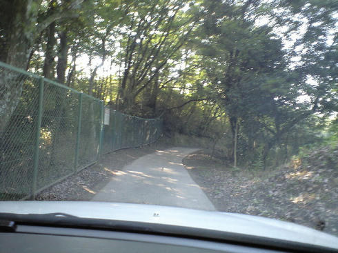 CA390927.JPG