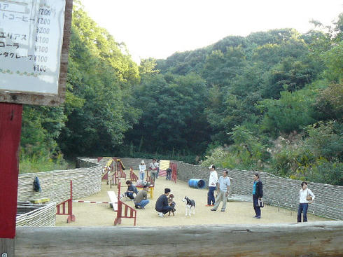 P1040047.JPG
