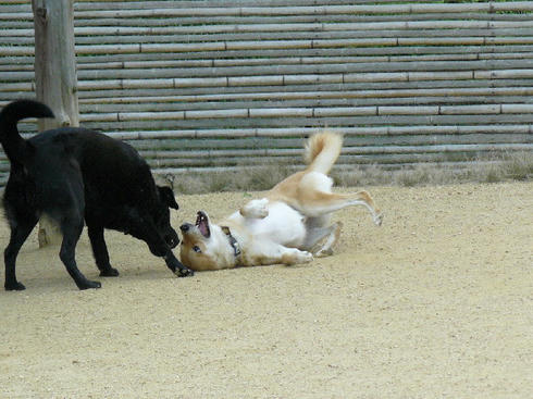 P1040393.JPG