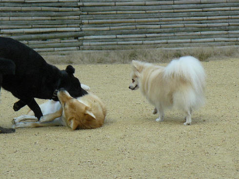 P1040424.JPG