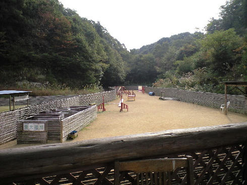 CA391004.JPG