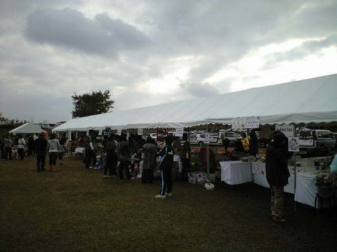 CA391089.JPG