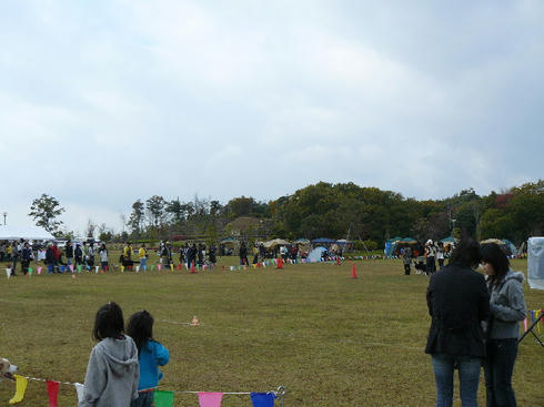 P1040785.JPG