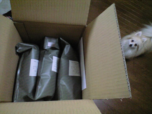 CA391107.JPG