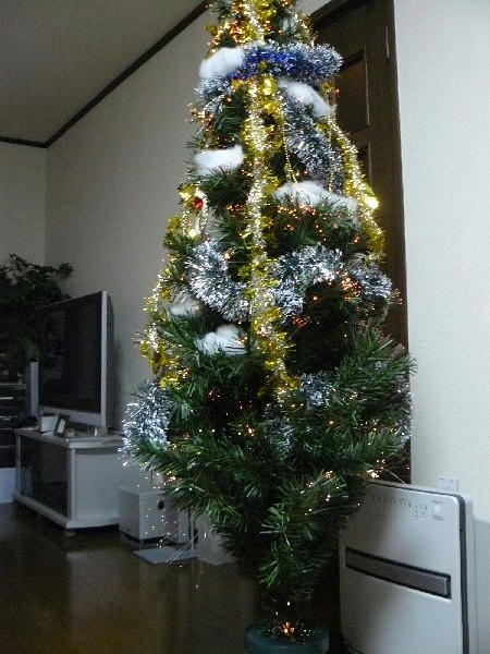 P1050110.JPG
