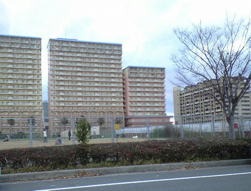 CA391175.JPG
