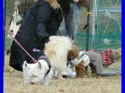P1050007.JPG