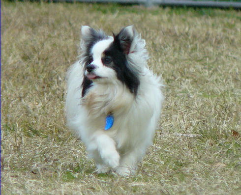 P1050022.JPG