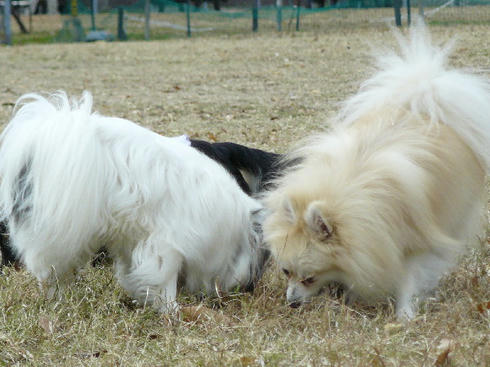 P1050026.JPG