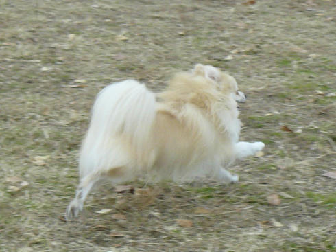 P1050040.JPG