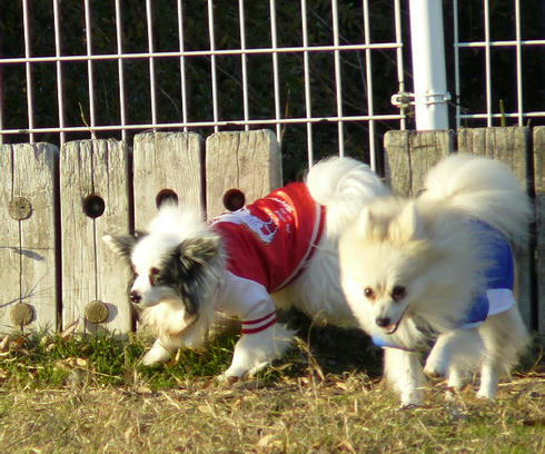 P1050139.JPG