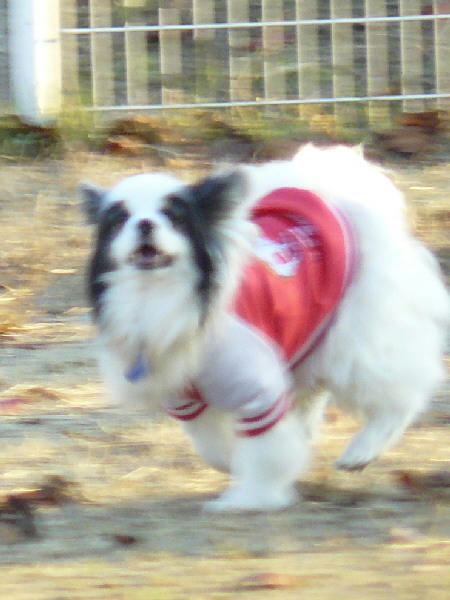 P1050167.JPG