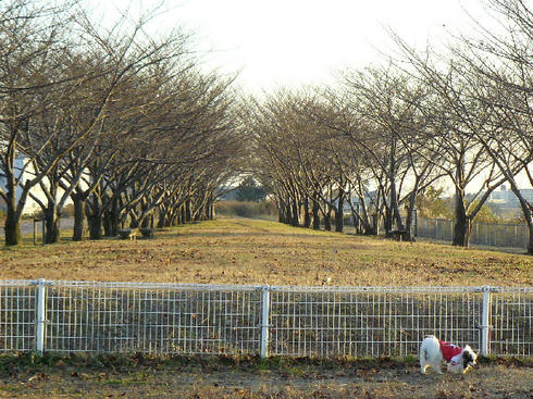P1050175.JPG