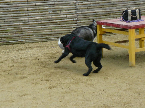 P1050387.JPG