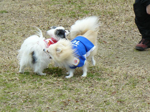 P1050431.JPG