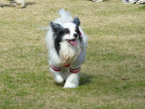 P1050453.JPG