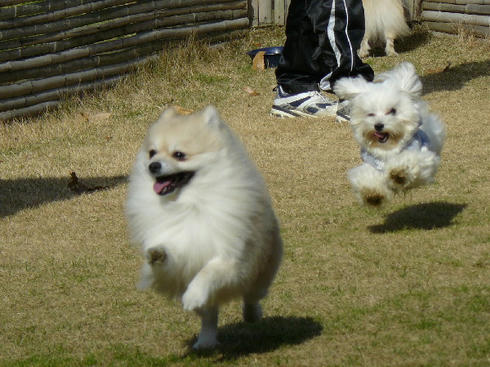 P1050454.JPG