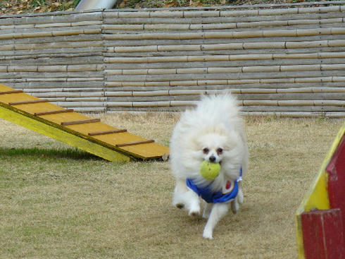 P1050461.JPG