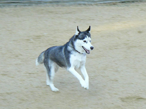 P1050544.JPG