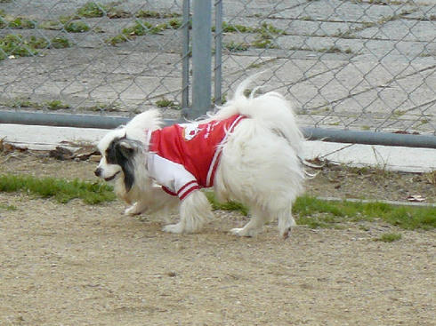 P1050679.JPG