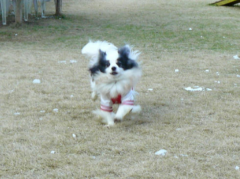 P1050846.JPG