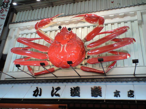 CA390116.JPG
