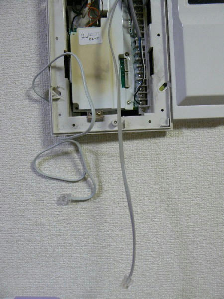 P1060136.JPG