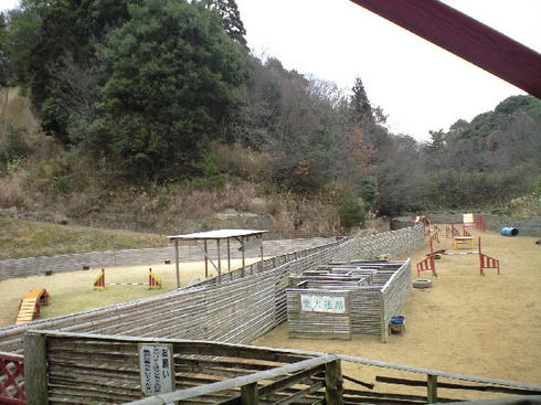 CA390136.JPG