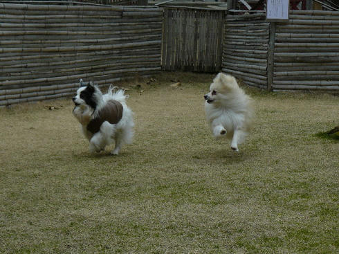 P1060100.JPG
