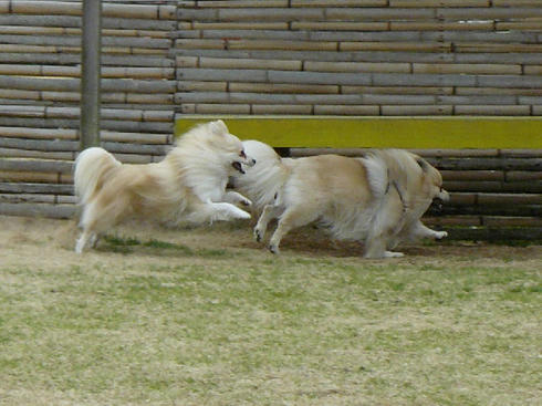 P1060177.JPG