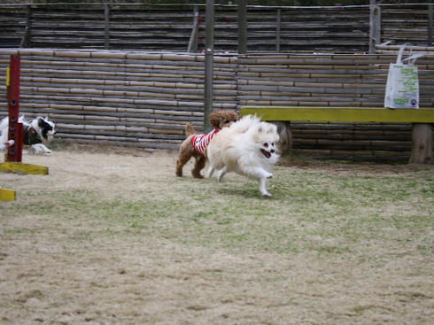 IMG_0013.JPG