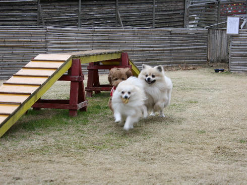 IMG_0028.JPG
