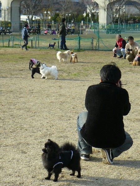 P1060307.JPG