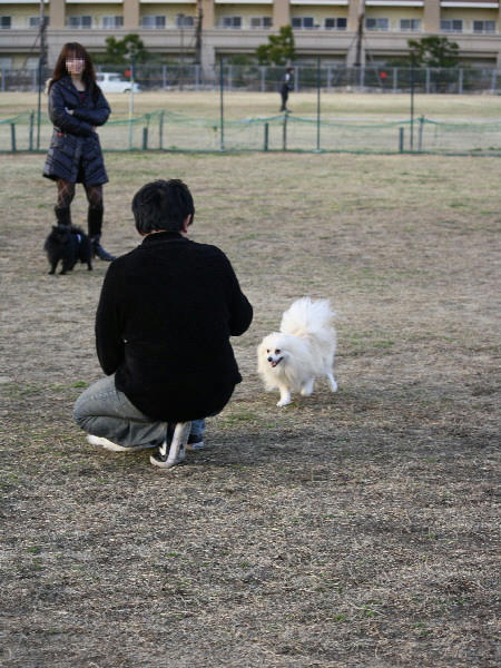 DPP_0206.JPG