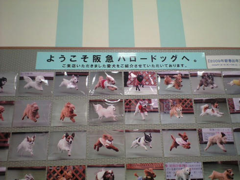 CA390426.JPG