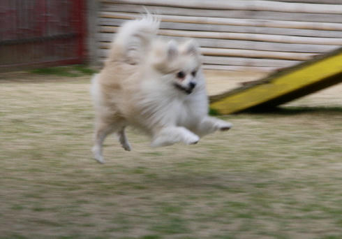 DPP_0050.JPG