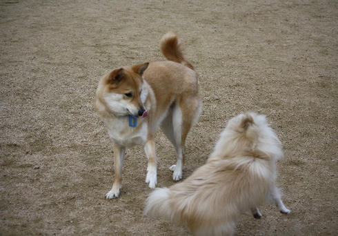 DPP_0069.JPG