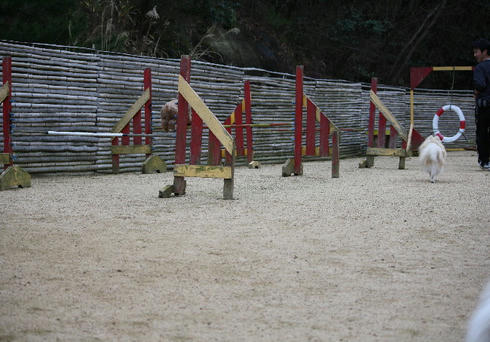 DPP_0088.JPG