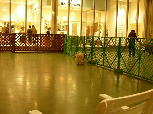 P1060413.JPG