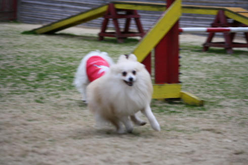 IMG_0731.JPG